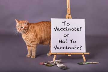 To vaccinate or not to vaccinate canvas sign on paint easel with paintbrushes and orange tabby cat 