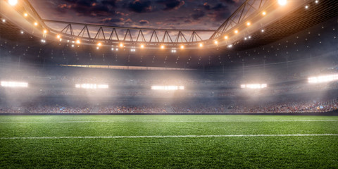 Obraz na płótnie Canvas Professional soccer field stadium. 3D illustration