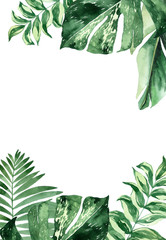 watercolor illustration of tropical leaves, green branches, fern. frame of tropical leaves. invitation to the wedding