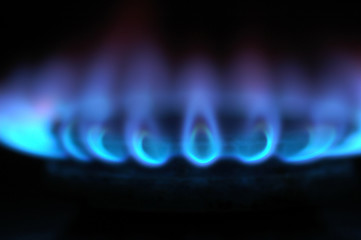 Burning blue gas on the stove. Focus on the front edge of the gas burners