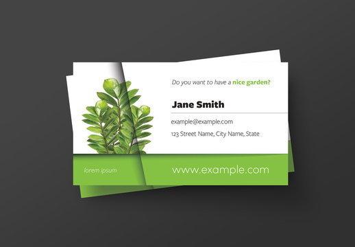 Business Card Layout with Plant Image