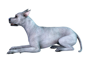 3D Rendering Blue Grat Dane Dog on White