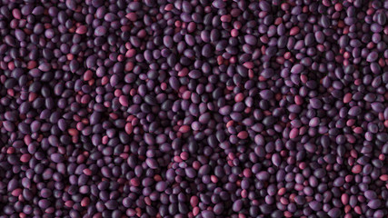 Top View of Plums 3D Rendering