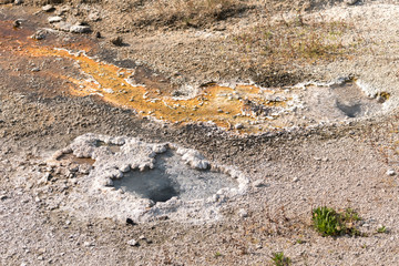 Geyser and hot spring in old faithful basin in Yellowstone National Park in Wyoming