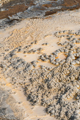 Geyser and hot spring in old faithful basin in Yellowstone National Park in Wyoming