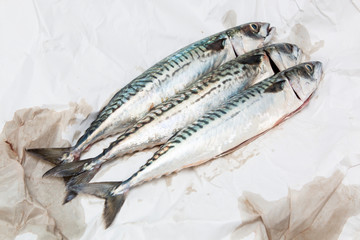 raw mackerel ready to be cooked 