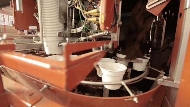 The process of automatically filling the pot for flowers with earth, automated planting line