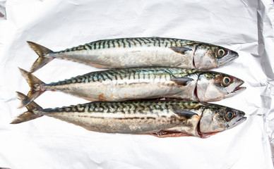 raw mackerel ready to be cooked 