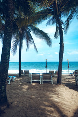 Sea beach Summer beach relaxing seaside