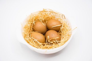 isolated egg with nest
