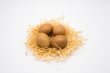 isolated egg with nest