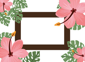 frame with flower and leafs of summer