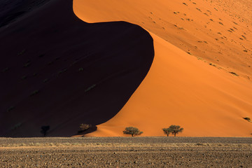 Dunes at Sossusvlei, Namibia - obrazy, fototapety, plakaty