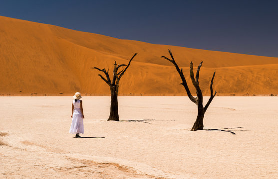 Deadvlei at Sossusvlei desert,  Namibia