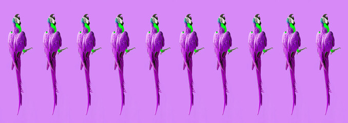 Crazy pop art colorful ultraviolet wallpaper with ara parrots (photo) modern pattern 
