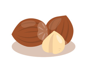 Hazelnut nuts isolated on white background.
