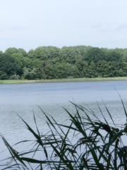 Schaalsee,  Mecklenburg Vorpommern 