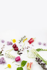 beautiful bouquet of flowers in vase isolated