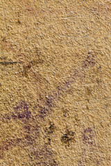 Yellowish Old Weathered Concrete Wall Texture