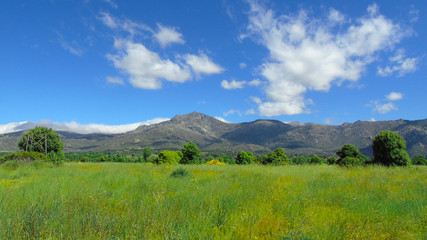 Verdes praderas en la Sierra de Guadarrama. Madrid, España