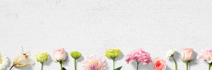 real flowers arranged on white wall background