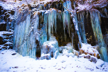 Icicles inside of the forest