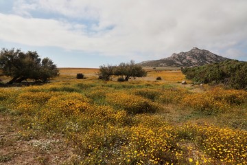 Fototapeta premium Piana di Fornelli
