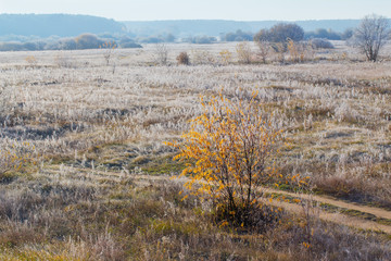 sunny autumn landscape with frost