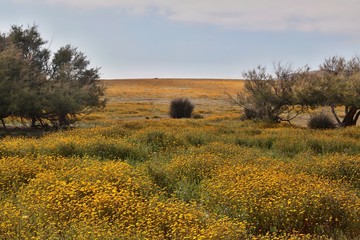 Fototapeta premium Piana di Fornelli