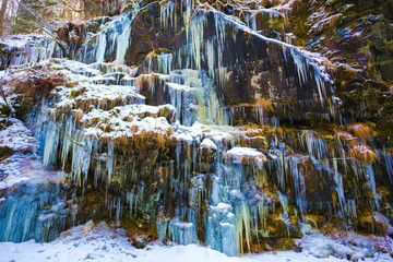 Icicles inside of the forest