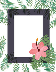 frame with flower and leafs of summer