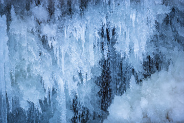 Icicles inside of the forest