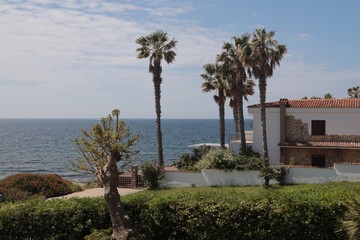 Fototapeta premium Fertilia