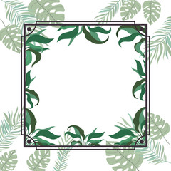 frame with branch and leaf of summer