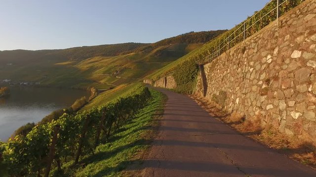 Mosel Valley
