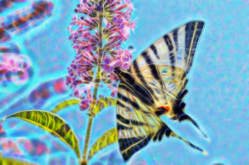 Fototapeta na wymiar fractal picture of big beautiful butterfly