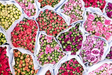 Overhead view of variety of rose flowers in sacks at market