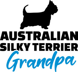Australian Silky Terrier Grandpa with silhouette