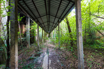 Urban exploration / Abandoned kiln somewhere in Italy