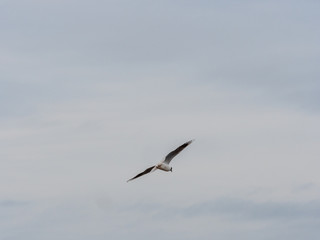 Obraz premium Travel