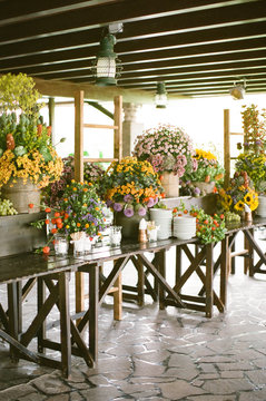 An italian buffet display in beautiful, bright summery colors