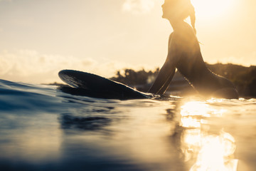 Silhouette of woman with surf board in the ocean behind wave in morning/sunset sparkling golden light.