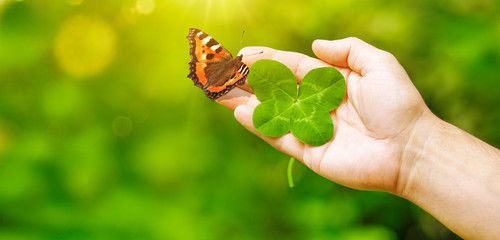 Vierblätriges Kleeblatt  mit Schmetterling in einer Hand