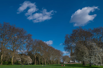 People come to relax at Hyde Park on a nice day.