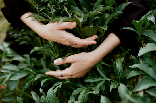 Woman touches plants