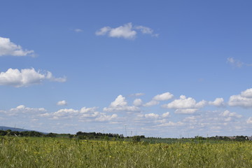 Fototapeta premium Picture