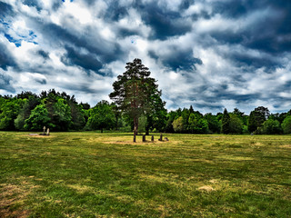 OLYMPUS DIGITAL CAMERA - CEMETERY 