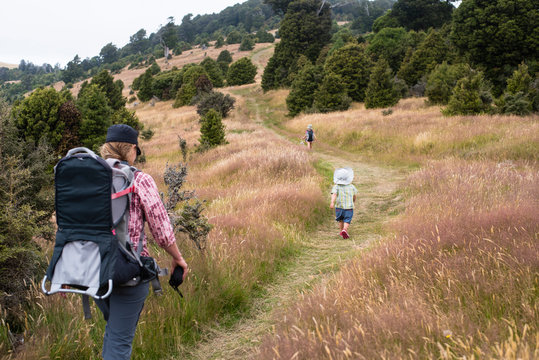 Family walking along a track amongst native bush.