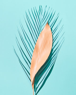 Two different palm leaves on a blue background with copy space. Summer layout. Flay lay
