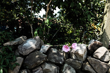 Old village scenery of Korea, Pohang, Guryongpo